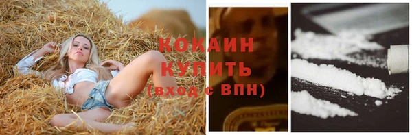 крисы Баксан