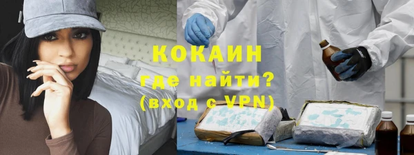 крисы Баксан