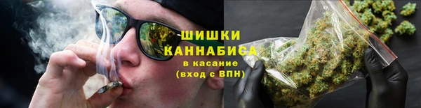 крисы Баксан