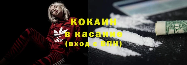 крисы Баксан