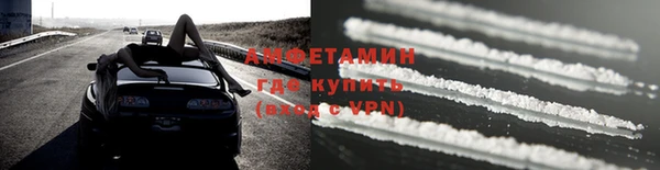 крисы Баксан