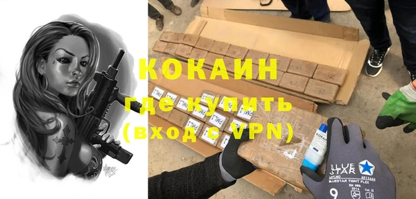 крисы Баксан