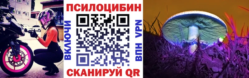 где можно купить наркотик  blacksprut ССЫЛКА  Галлюциногенные грибы GOLDEN TEACHER  Магас 