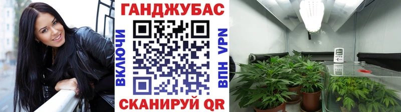 Каннабис планчик  закладки  Магас 